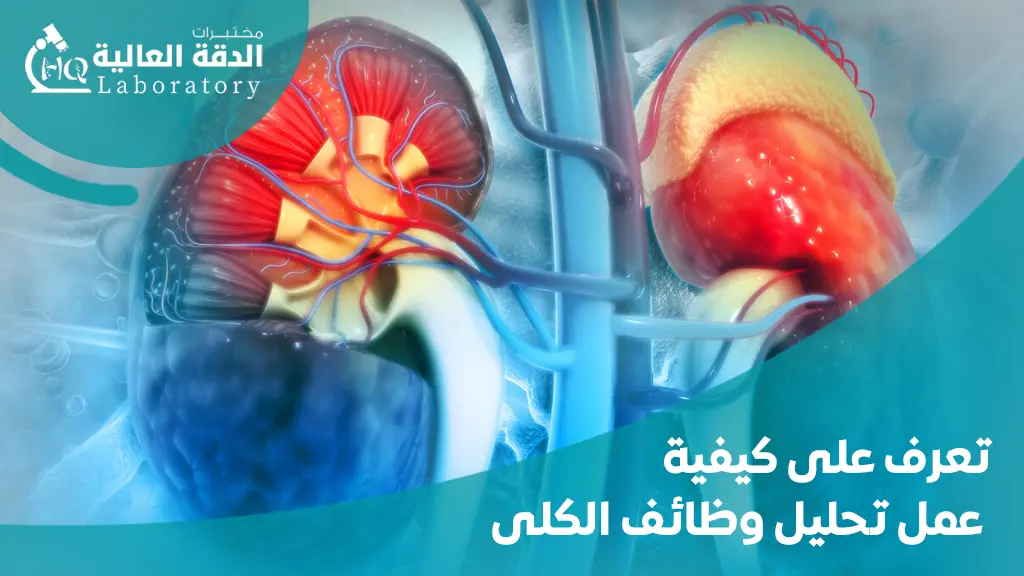 كيفية عمل تحليل وظائف الكلى