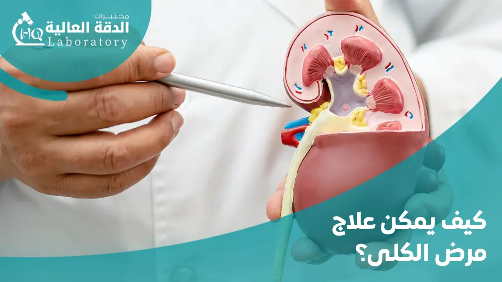 كيفية عمل تحليل وظائف الكلى