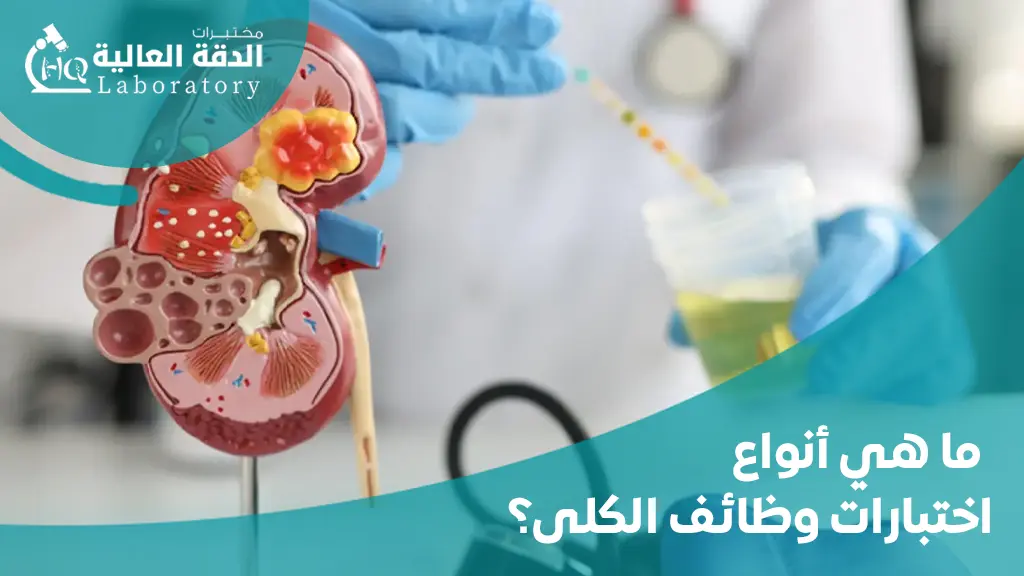 كيفية عمل تحليل وظائف الكلى