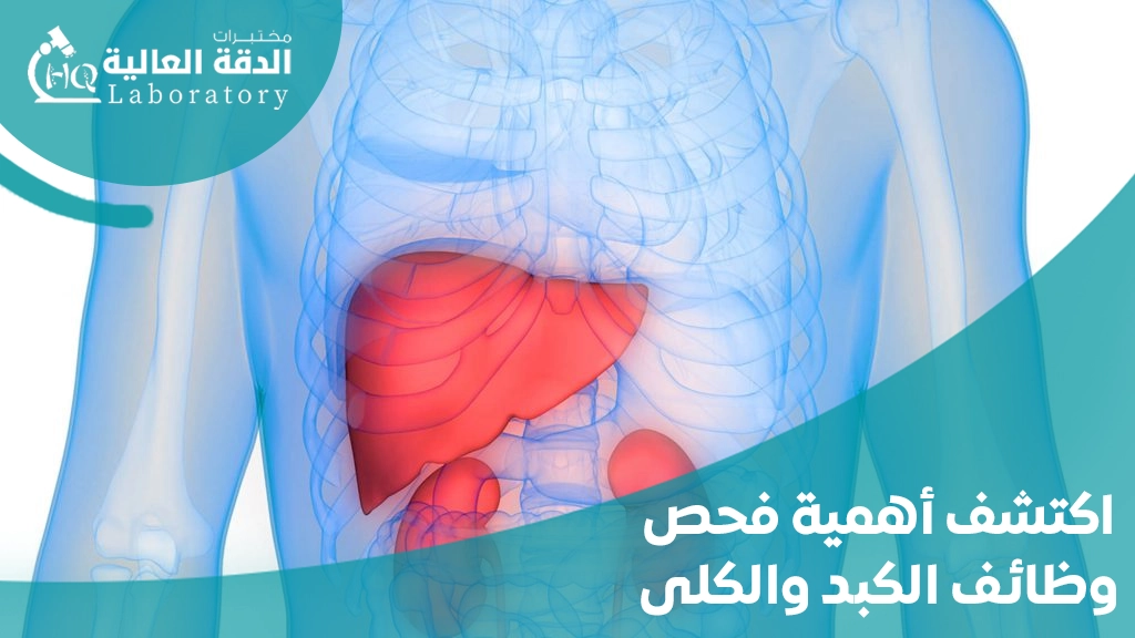 فحص وظائف الكبد والكلى
