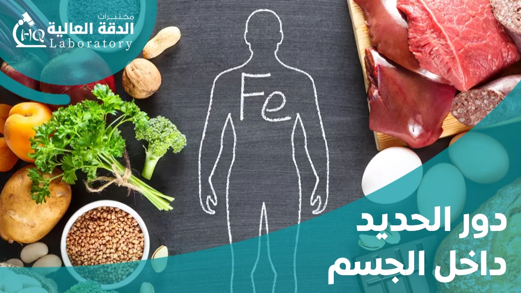 أسباب ارتفاع مخزون الحديد ونقص الهيموجلوبين